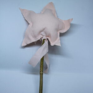 Toverstaf peach