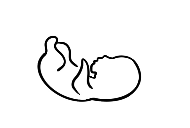 Getekende line-art - Afbeelding 5